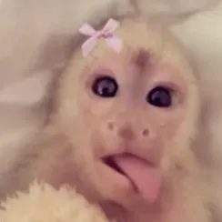 creator GuMm1_W0rMz!!2 🍭's avatar