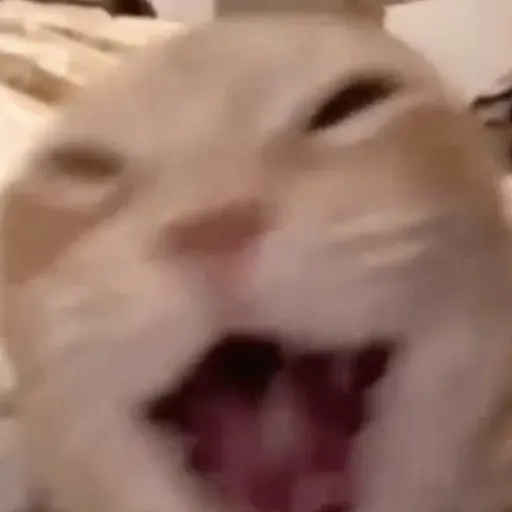 creator _Cosmos_'s avatar