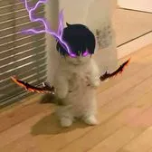 creator Talkior-PoGlki2P's avatar
