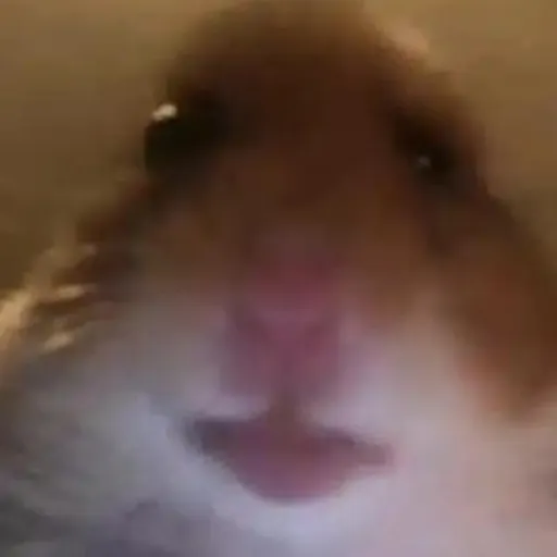 creator Hampter Enthusiast's avatar