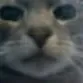 chat with ai character: p2 cures ur cringe