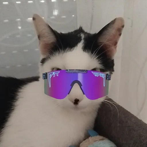 creator Laword's avatar