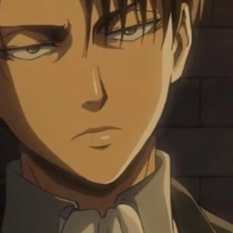 chat with ai character: Levi Ackermann 