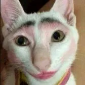 creator tokek terbang's avatar