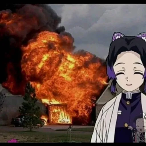 creator shinobu venenos 😎🦋's avatar