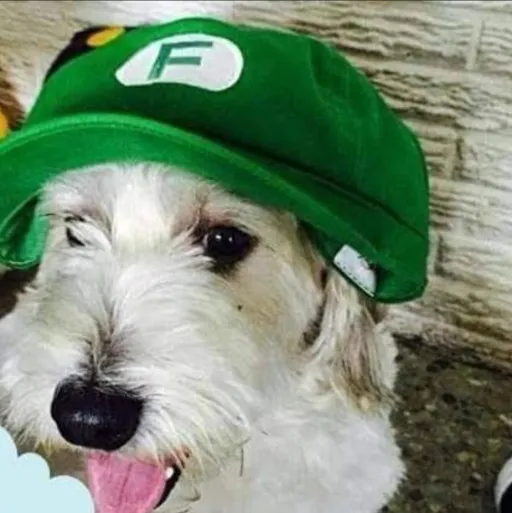 creator Dogday el critter's avatar
