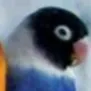 comment user avatar