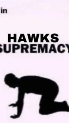 ai character: Hawks background