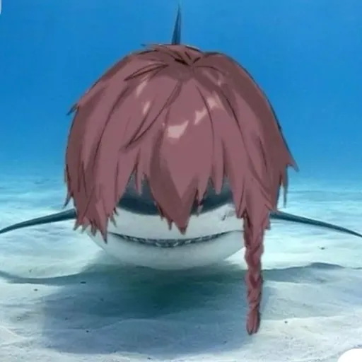 creator kurona virus ౨ৎ•'s avatar