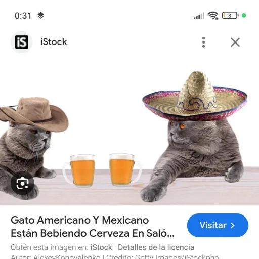 creator gato mexicano 🗿🍷's avatar