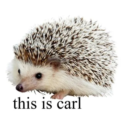 creator Carl the car.'s avatar