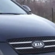 creator ceedimneo01's avatar