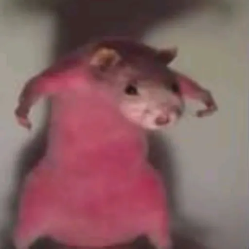 creator ââË's avatar