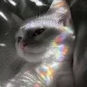 creator Tahlia Fox's avatar