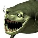 chat with ai character: felix the shark