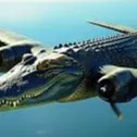 chat with ai character: bombardino croco