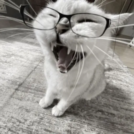 creator paздoлбaй's avatar