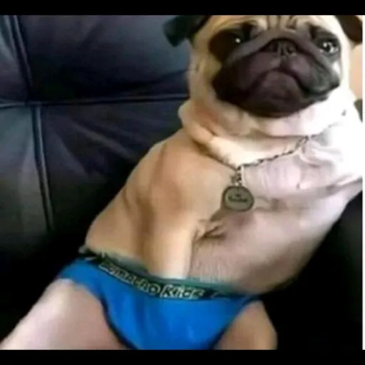 creator Sigma Mannnnnnnnnn's avatar