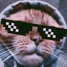 comment user avatar