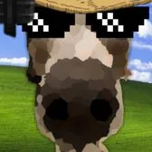 comment user avatar