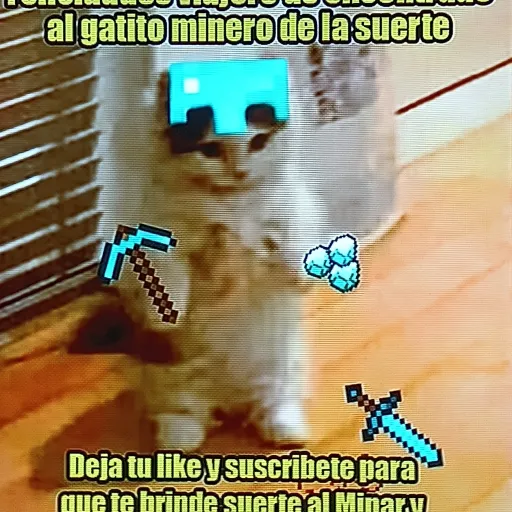 creator Kitty 213348555970's avatar