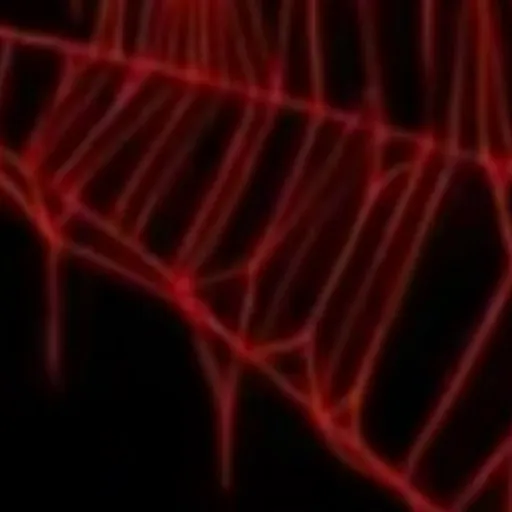 creator Spider_^^girl_^^😼's avatar
