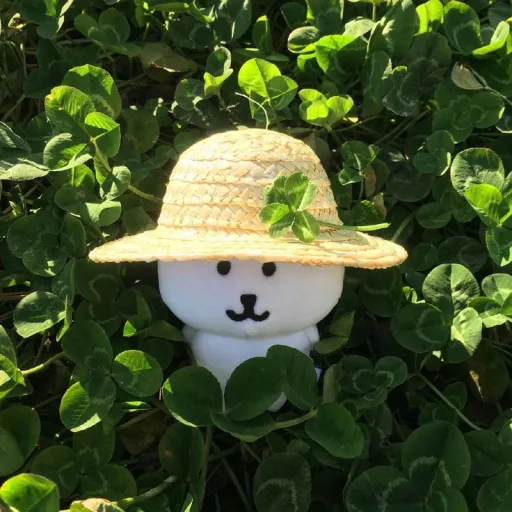 creator I SIMP JUNGWON😃...'s avatar