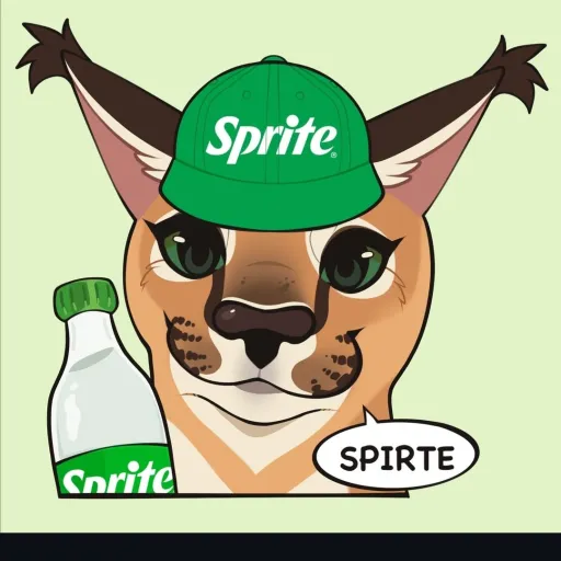 creator floppa do sprite's avatar