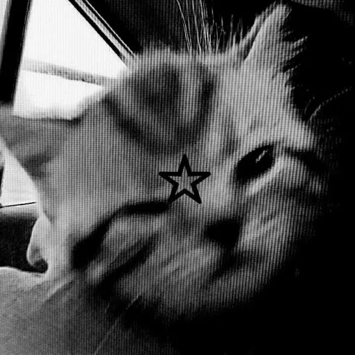 creator 17_Just_noname's avatar