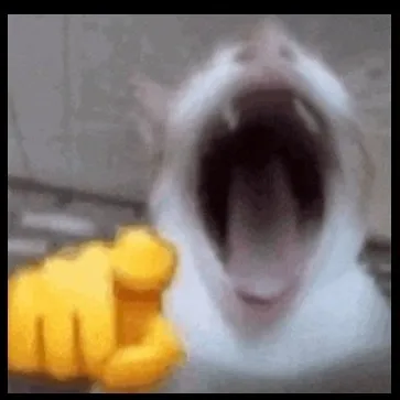 comment user avatar