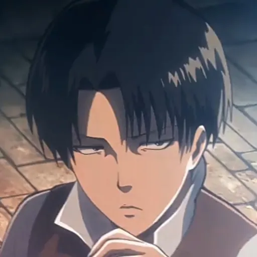 creator Levi Ackerman Capt's avatar