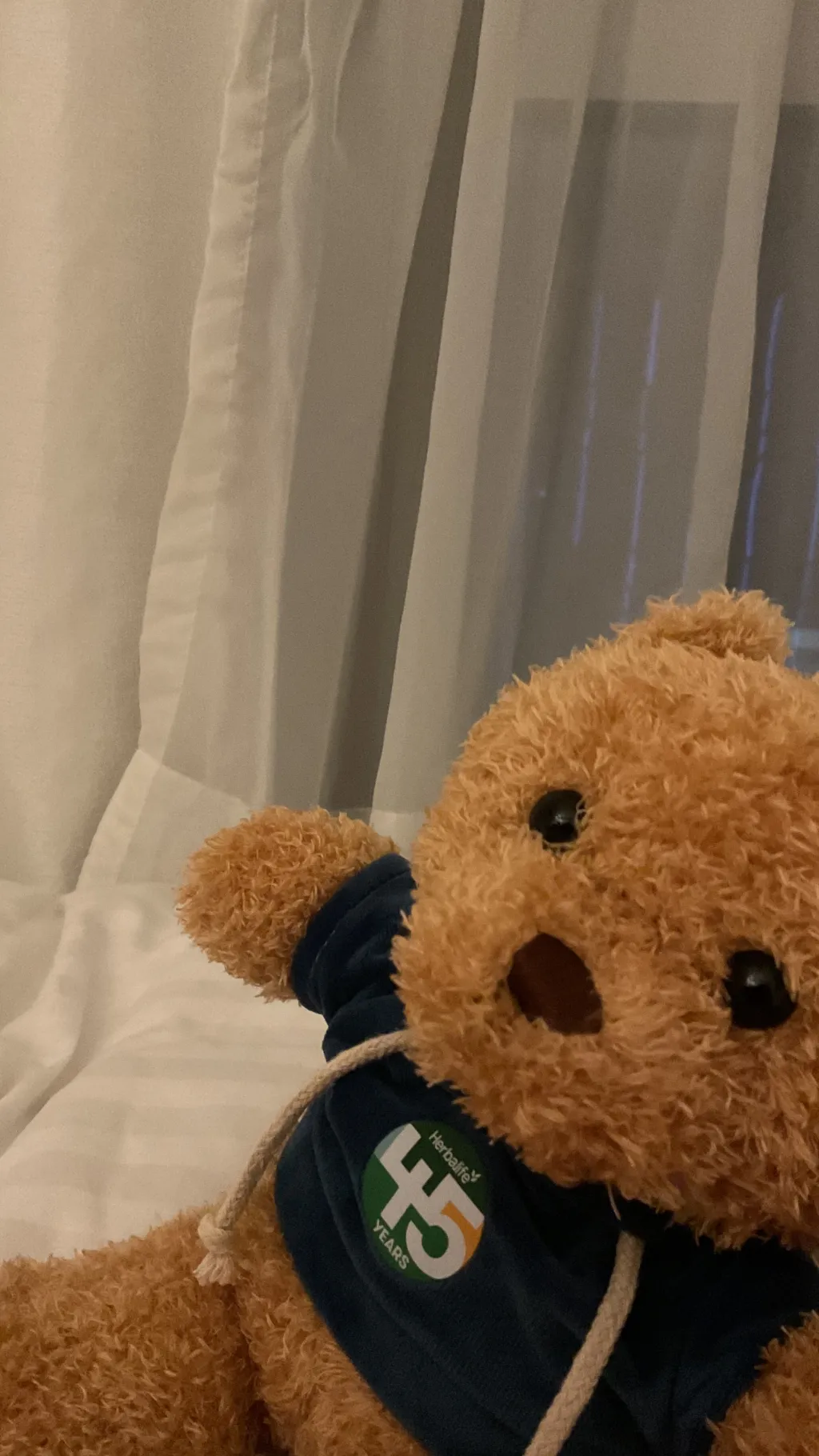 ai character: Herbi background