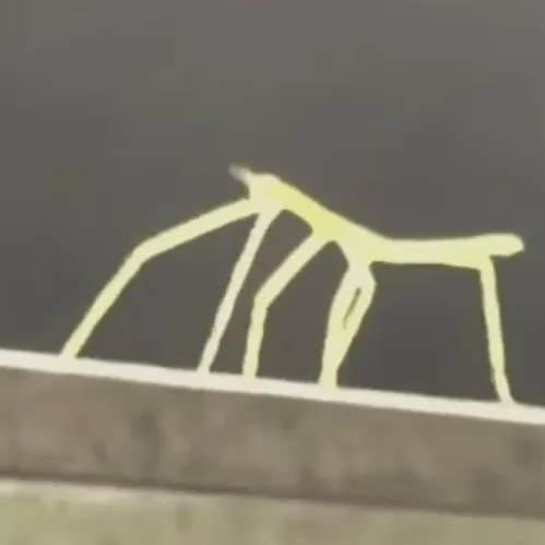 creator Stick bug 67's avatar