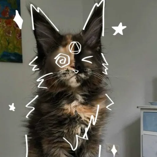 creator Melynne's avatar