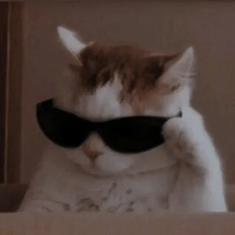 creator +-𝓽𝓱𝓮𝓶𝓪𝔂2-+'s avatar