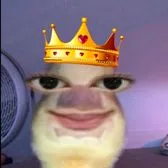 comment user avatar