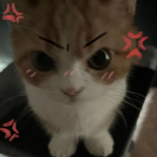 creator 0sweetie5's avatar
