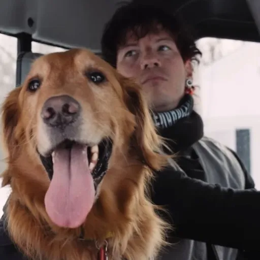 creator 💫•m1ძᥒ1gһ𝗍𝗍•💫's avatar