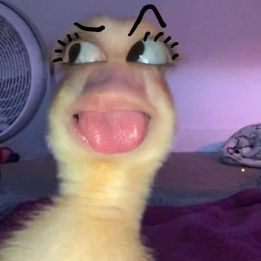 comment user avatar