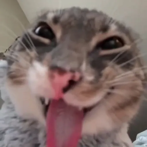 creator THE L.O.S.T's avatar