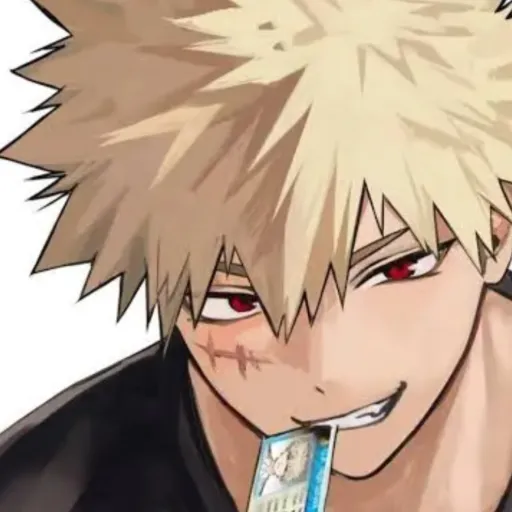 creator Bakugou stalker's avatar