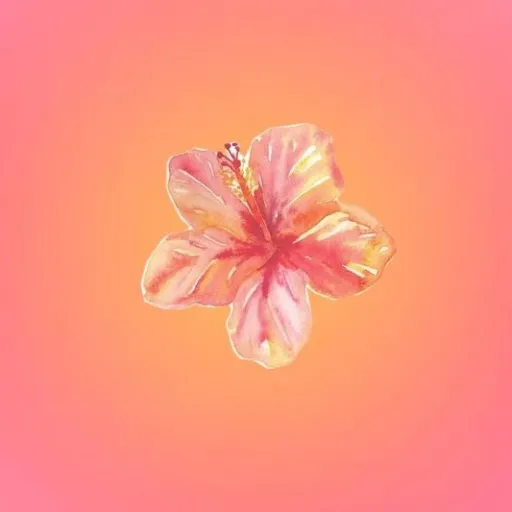 creator _Anaé_'s avatar