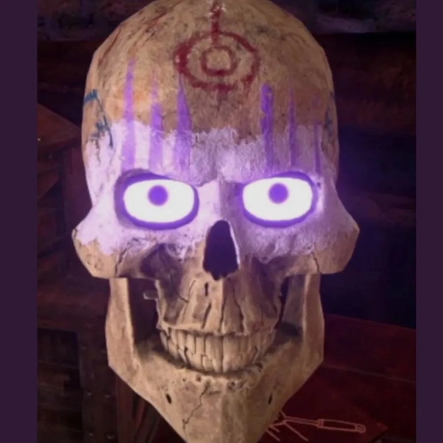 chat with ai character: Skully