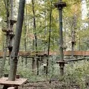 chat with ai character: therian summercamp