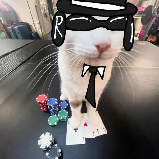 creator Charlie and James's avatar