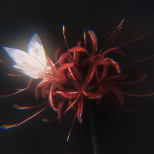 creator โฎโขYAKAZAโขโฎ's avatar