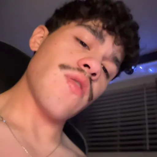 creator ʚ....ɞ's avatar