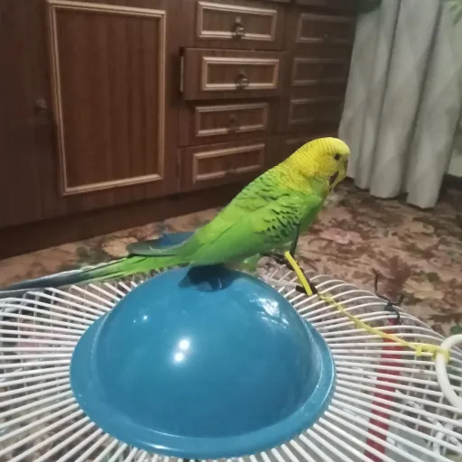 creator Nasty 124's avatar