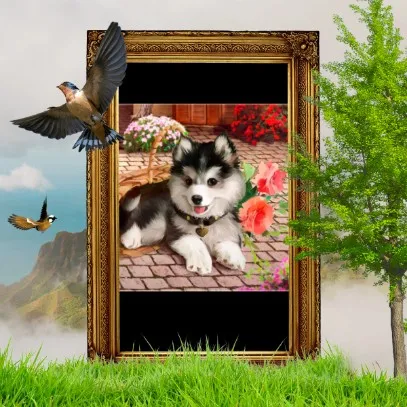 talkie's author avatar