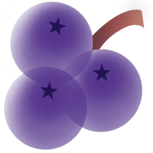 creator ＵＶ 🍇 _ｚｚｚ's avatar